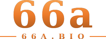 66a logo